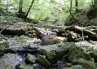 DSCN0202