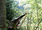 DSCN0206