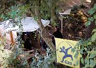 DSCN1371