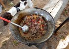 DSCN1376