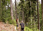 DSCN2041