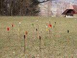 DSCN3091.JPG