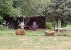 DSCN3118