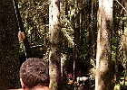 DSCN3528