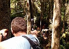 DSCN3529