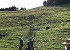 IMG 3212