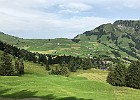 IMG 3213
