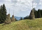 IMG 3215