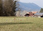 DSCN3377