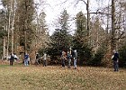 DSCN3379