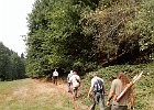 DSCN3894