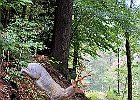 IMG 3738