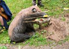 IMG 3748