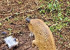 IMG 3749