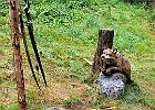 IMG 3750