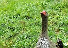 IMG 3754