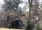 DSCN3729