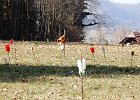 DSCN3735