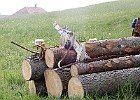 DSCN3849