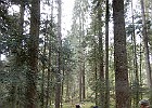 DSCN3874