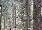 DSCN3877