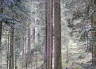 DSCN3878