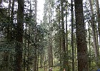DSCN3879