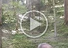 DSCN3884