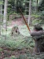 DSCN4194