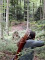 DSCN4197
